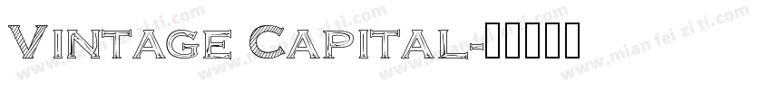 Vintage Capital字体转换